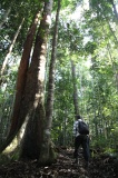 maliau-basin-img_8130