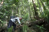 maliau-basin-img_8141