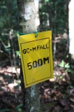 maliau-basin-img_8142