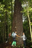maliau-basin-img_8157