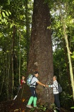 maliau-basin-img_8157