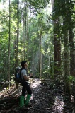 maliau-basin-img_8170