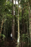 maliau-basin-img_8185