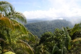 maliau-basin-img_8223