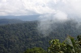 maliau-basin-img_8225