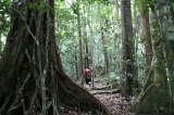 maliau-basin-img_8470