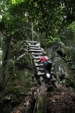 maliau-basin-img_8473