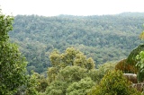 maliau-basin-img_8480