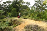 maliau-basin-img_8481