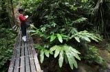 maliau-basin-img_8517