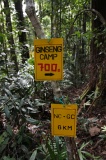 maliau-basin-img_8558