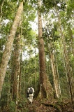 maliau-basin-img_8568