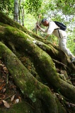 maliau-basin-img_8637