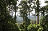 maliau-basin-img_8642