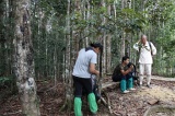 maliau-basin-img_8664