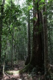 maliau-basin-img_8720