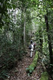 maliau-basin-img_8724