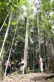 maliau-basin-img_8729