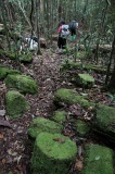 maliau-basin-img_8742