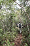 maliau-basin-img_8900