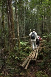 maliau-basin-img_8904