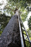 maliau-basin-img_9067