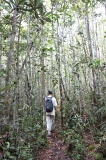 maliau-basin-img_9461