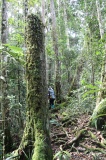 maliau-basin-img_9530