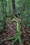 maliau-basin-img_9533