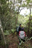 maliau-basin-img_9557