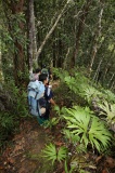 maliau-basin-img_9559