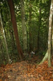 maliau-basin-img_9562