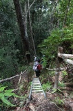 maliau-basin-img_9567