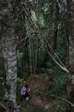 maliau-basin-img_9568