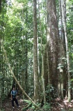 maliau-basin-img_9586