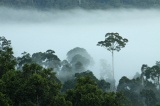 maliau-basin-img_9786