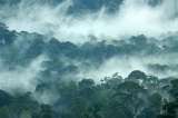 maliau-basin-img_9787