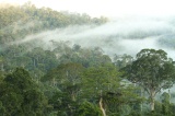 maliau-basin-img_9805