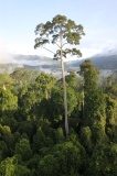 maliau-basin-img_9859