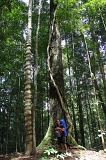 maliau-basin-img_9058