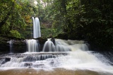 maliau-basin-img_9287