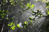 maliau-basin-img_9393