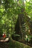 maliau-basin-img_9490