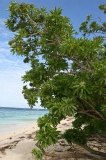 mataking-img_4273