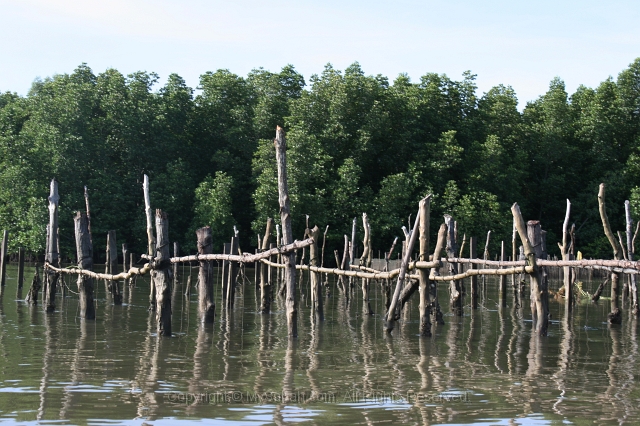 mengkabong-kayaking-img_0343.jpg