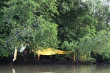 mengkabong-kayaking-img_0317