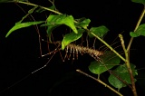 night-walk-img_5050