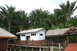 sago-img_7232
