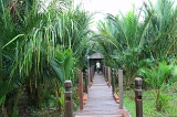 sago-img_7299