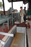 sago-img_7306